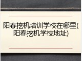 阳春挖机培训学校在哪里(阳春挖机学校地址)