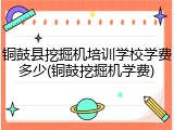 铜鼓县挖掘机培训学校学费多少(铜鼓挖掘机学费)