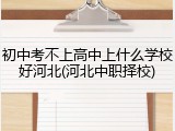 初中考不上高中上什么学校好河北(河北中职择校)