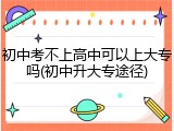 初中考不上高中可以上大专吗(初中升大专途径)