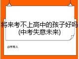 将来考不上高中的孩子好吗(中考失意未来)