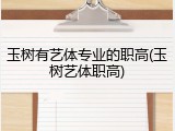 玉树有艺体专业的职高(玉树艺体职高)