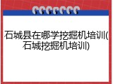 石城县在哪学挖掘机培训(石城挖掘机培训)