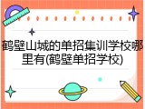 鹤壁山城的单招集训学校哪里有(鹤壁单招学校)