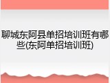 聊城东阿县单招培训班有哪些(东阿单招培训班)