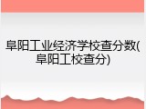 阜阳工业经济学校查分数(阜阳工校查分)