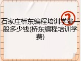 石家庄桥东编程培训学费一般多少钱(桥东编程培训学费)