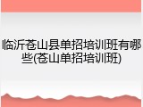 临沂苍山县单招培训班有哪些(苍山单招培训班)