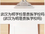 武汉为明学校是贵族学校吗(武汉为明是贵族学校吗)