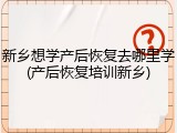 新乡想学产后恢复去哪里学(产后恢复培训新乡)