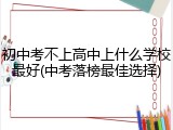 初中考不上高中上什么学校最好(中考落榜最佳选择)