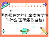 国外最有名的儿童贵族学校叫什么(国际贵族名校)