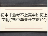 初中毕业考不上高中如何上学呢("初中毕业升学途径")
