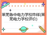 莱芜鲁中电力学校咋样(莱芜电力学校评价)