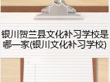 银川贺兰县文化补习学校是哪一家(银川文化补习学校)