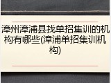 漳州漳浦县找单招集训的机构有哪些(漳浦单招集训机构)