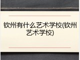 钦州有什么艺术学校(钦州艺术学校)