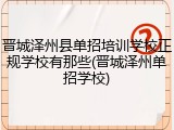 晋城泽州县单招培训学校正规学校有那些(晋城泽州单招学校)