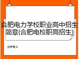 合肥电力学校职业高中招生简章(合肥电校职高招生)