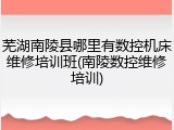 芜湖南陵县哪里有数控机床维修培训班(南陵数控维修培训)