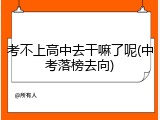 考不上高中去干嘛了呢(中考落榜去向)