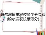 哈尔滨道里农校多少分录取(哈尔滨农校录取分)