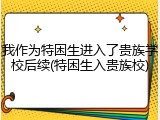 我作为特困生进入了贵族学校后续(特困生入贵族校)