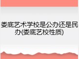 娄底艺术学校是公办还是民办(娄底艺校性质)