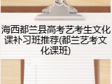 海西都兰县高考艺考生文化课补习班推荐(都兰艺考文化课班)