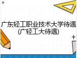 广东轻工职业技术大学待遇(广轻工大待遇)