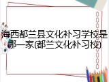 海西都兰县文化补习学校是哪一家(都兰文化补习校)