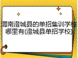 渭南澄城县的单招集训学校哪里有(澄城县单招学校)