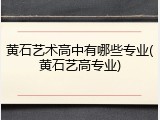 黄石艺术高中有哪些专业(黄石艺高专业)
