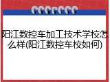阳江数控车加工技术学校怎么样(阳江数控车校如何)