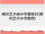 郴州艺术类中学哪家好(郴州艺术中学推荐)