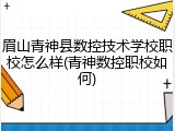 眉山青神县数控技术学校职校怎么样(青神数控职校如何)