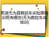 芜湖无为县数控车床短期培训班有哪些(无为数控车床培训)