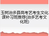 玉树治多县高考艺考生文化课补习班推荐(治多艺考文化班)