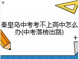 秦皇岛中考考不上高中怎么办(中考落榜出路)