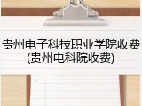 贵州电子科技职业学院收费(贵州电科院收费)