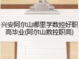 兴安阿尔山哪里学数控好职高毕业(阿尔山数控职高)