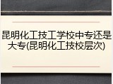 昆明化工技工学校中专还是大专(昆明化工技校层次)