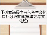 玉树囊谦县高考艺考生文化课补习班推荐(囊谦艺考文化班)