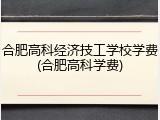 合肥高科经济技工学校学费(合肥高科学费)