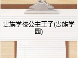 贵族学校公主王子(贵族学园)