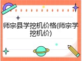 师宗县学挖机价格(师宗学挖机价)