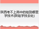陕西考不上高中的娃到哪里学技术(陕娃学技去处)