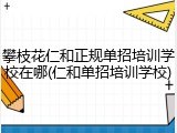 攀枝花仁和正规单招培训学校在哪(仁和单招培训学校)