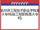哈尔滨工程技术职业学院是大专吗(哈工程职院是大专吗)