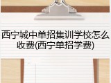 西宁城中单招集训学校怎么收费(西宁单招学费)